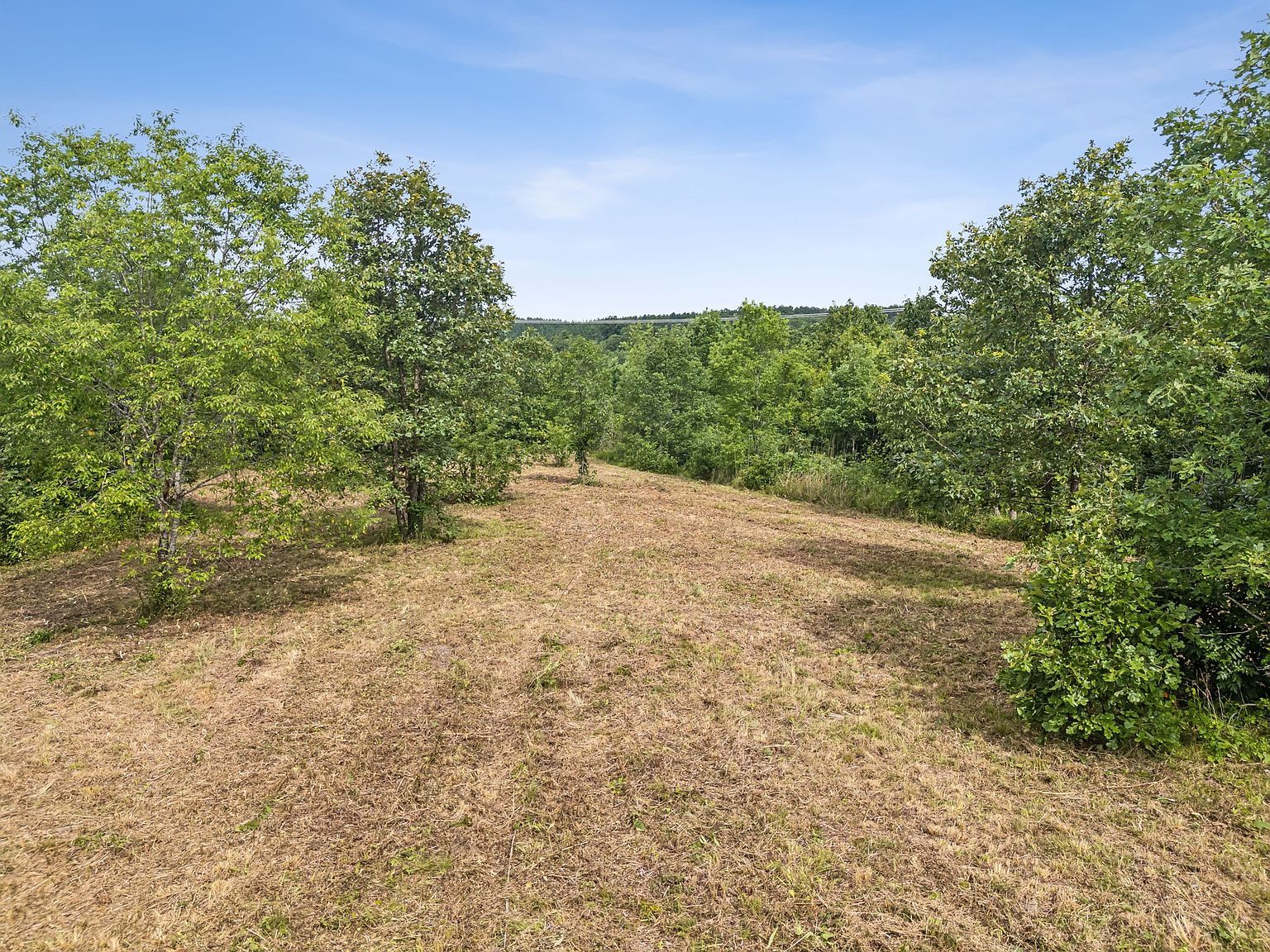 0 Bear Hollow Dr LOT 120 Waverly, TN 37185 | Land/Lot