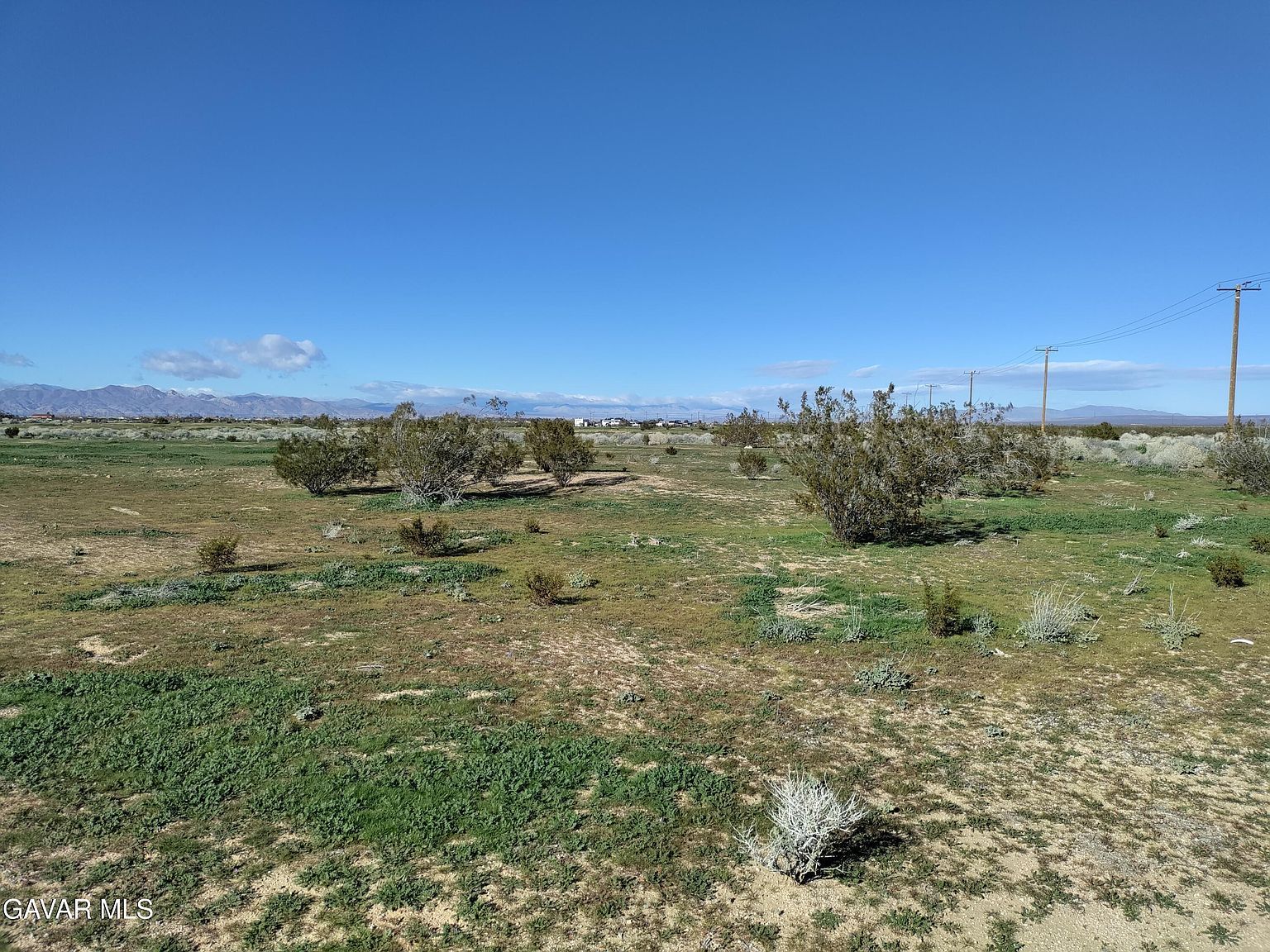 Wilson Drive Corner Carson Dr California City, CA 93505  | Land/Lot