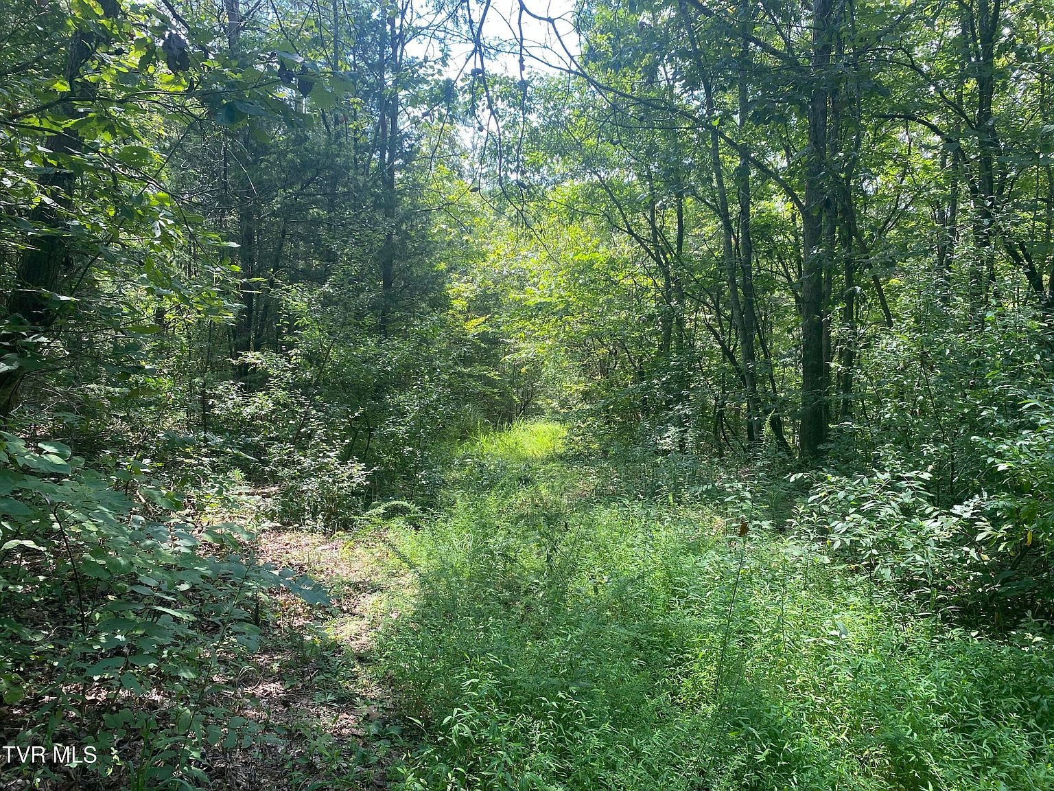0 Sinks Rd Blackwater, VA 24221  | Land/Lot