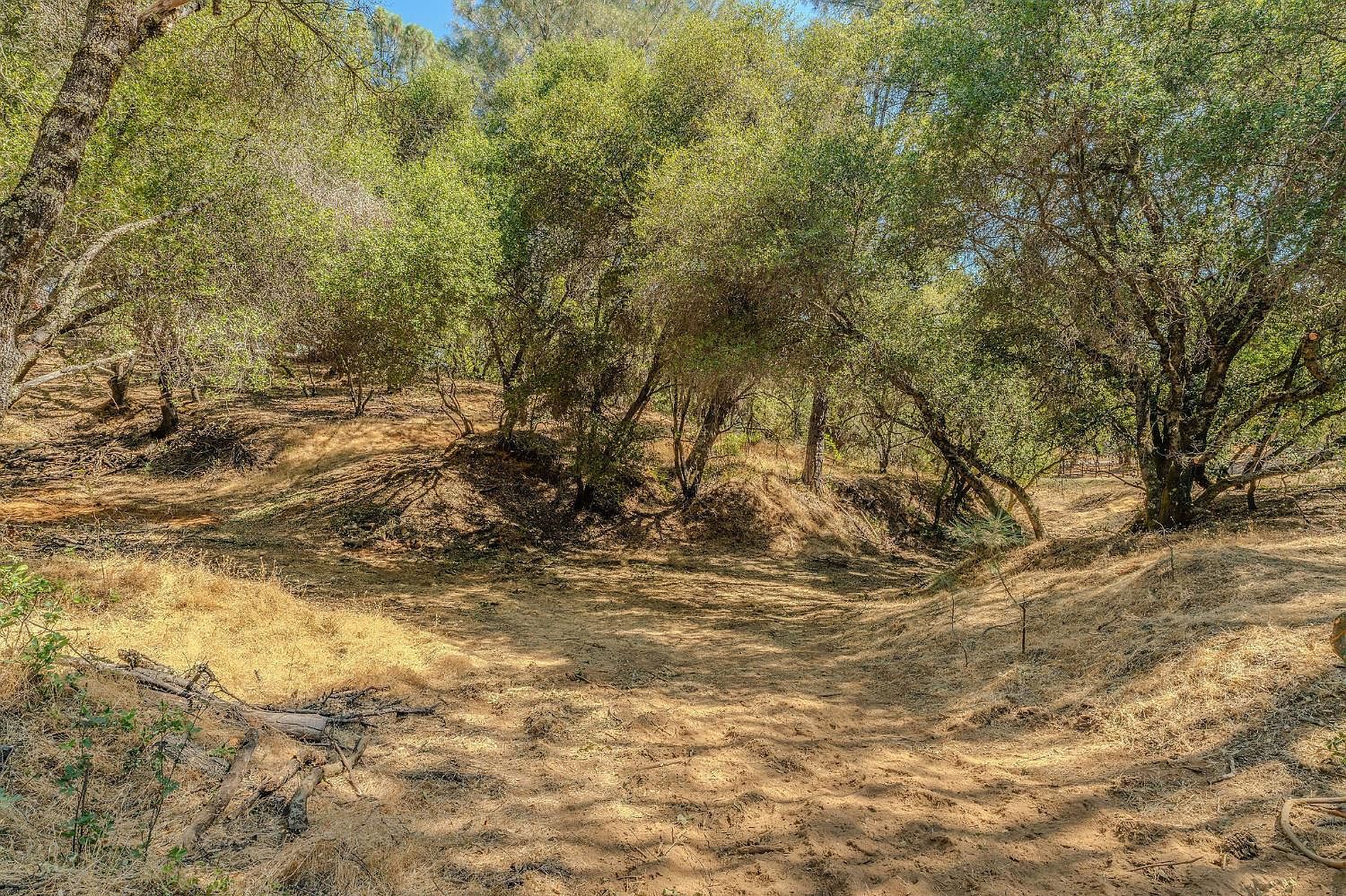 Lauren Ln Jackson, CA 95642 | Land/Lot