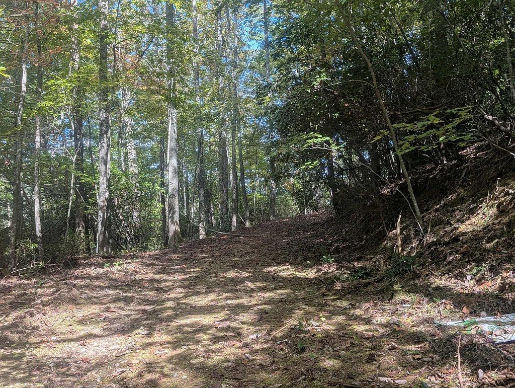 5.47 Ac Sierra Run Blairsville, GA 30512 | Land/Lot