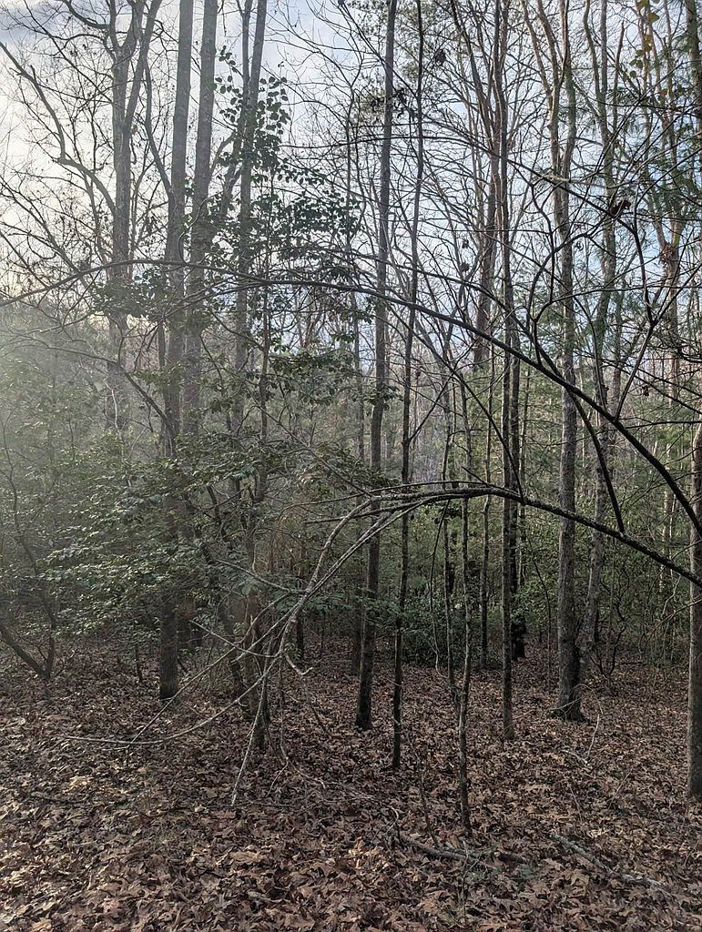 193 Opossum Rd Blairsville, GA 30512 | Land/Lot