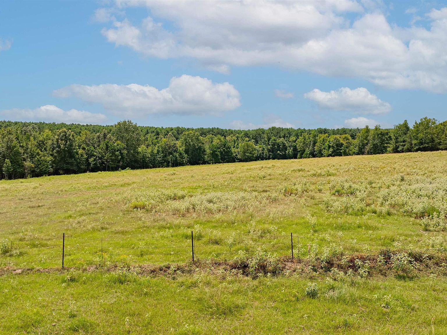 Tbd Fm 726 Diana, TX 75640  | Land/Lot