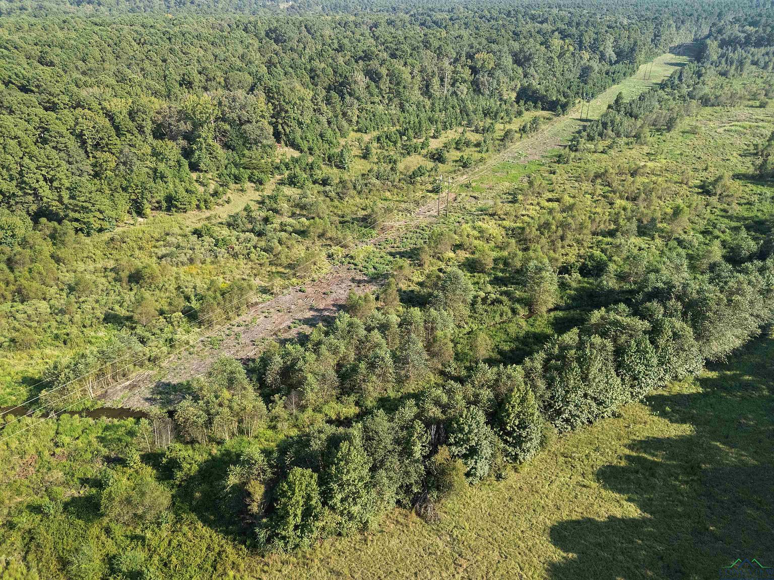 0 Nash Rd Harleton, TX 75651 | Land/Lot