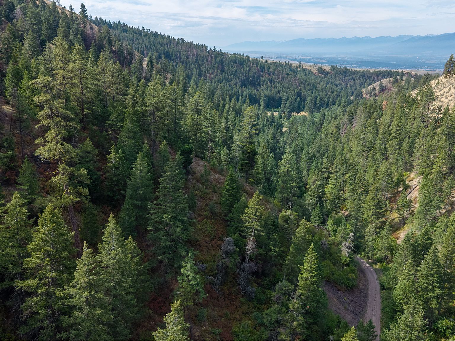 Nhn Copper Ridge Trl Florence, MT 59833 | Land/Lot