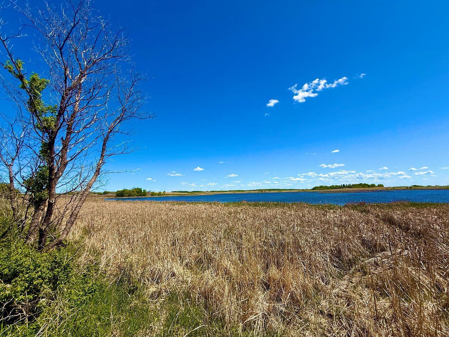 240th Ave Callaway, MN 56521 | Land/Lot