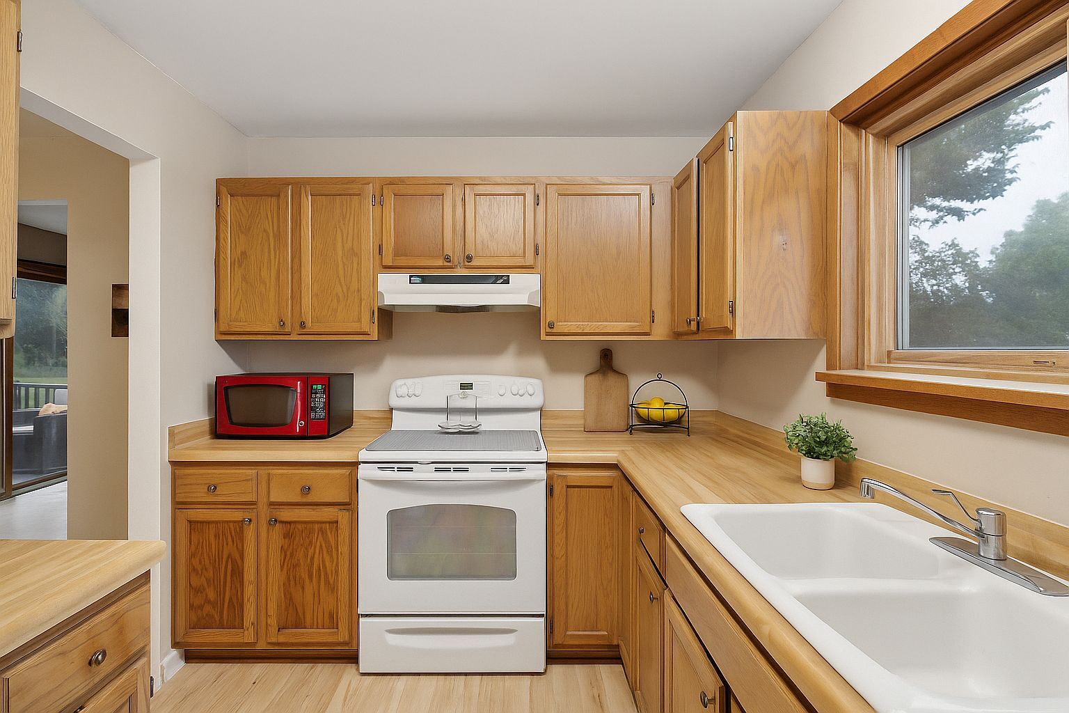 1603 Raindrop Dr Eagan, MN 55121 | New build