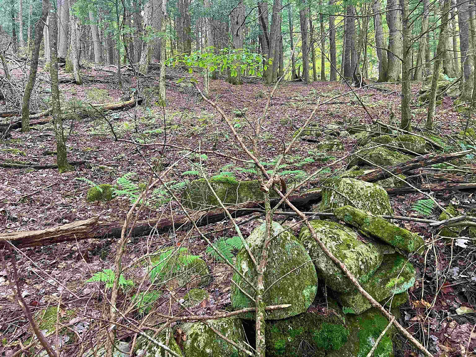 0 Kidder Rd Bradford, VT 05033 | Land/Lot