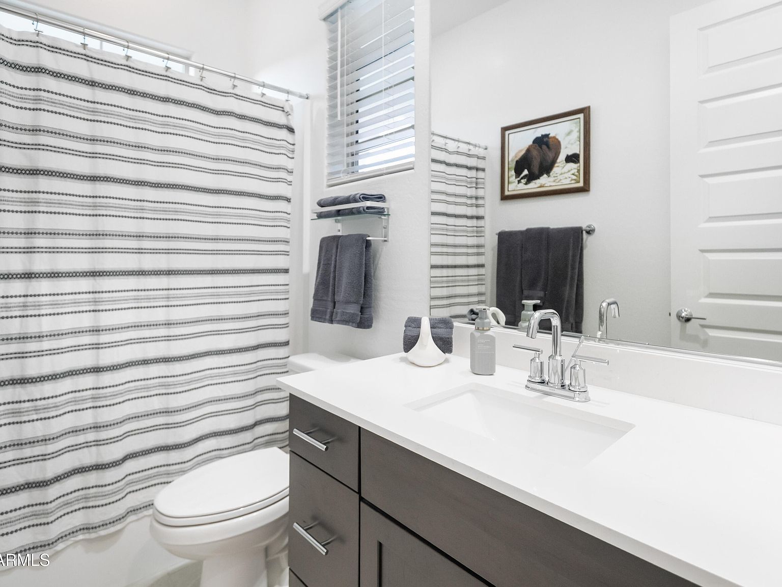 24683 N 174th Dr Surprise, AZ 85387  | Single Family