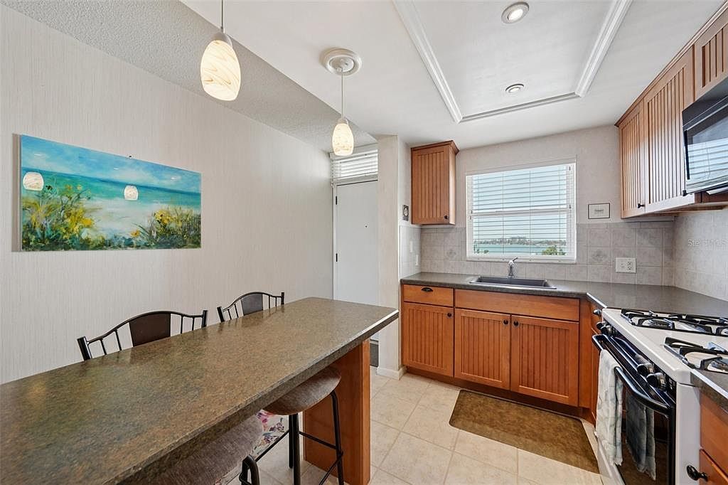 1847 Shore Dr S APT 711 South Pasadena, FL 33707  | Condominium