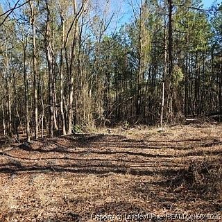 737 N Vass Rd Raeford, NC 28376 | Land/Lot