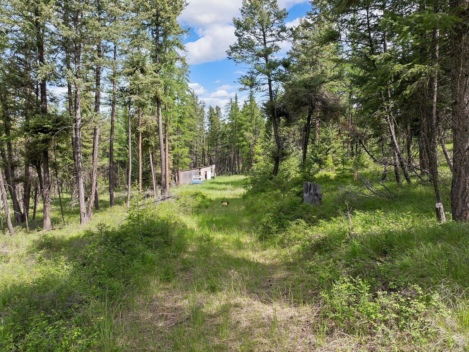 439 Buffalo Trl Somers, MT 59932  | Land/Lot