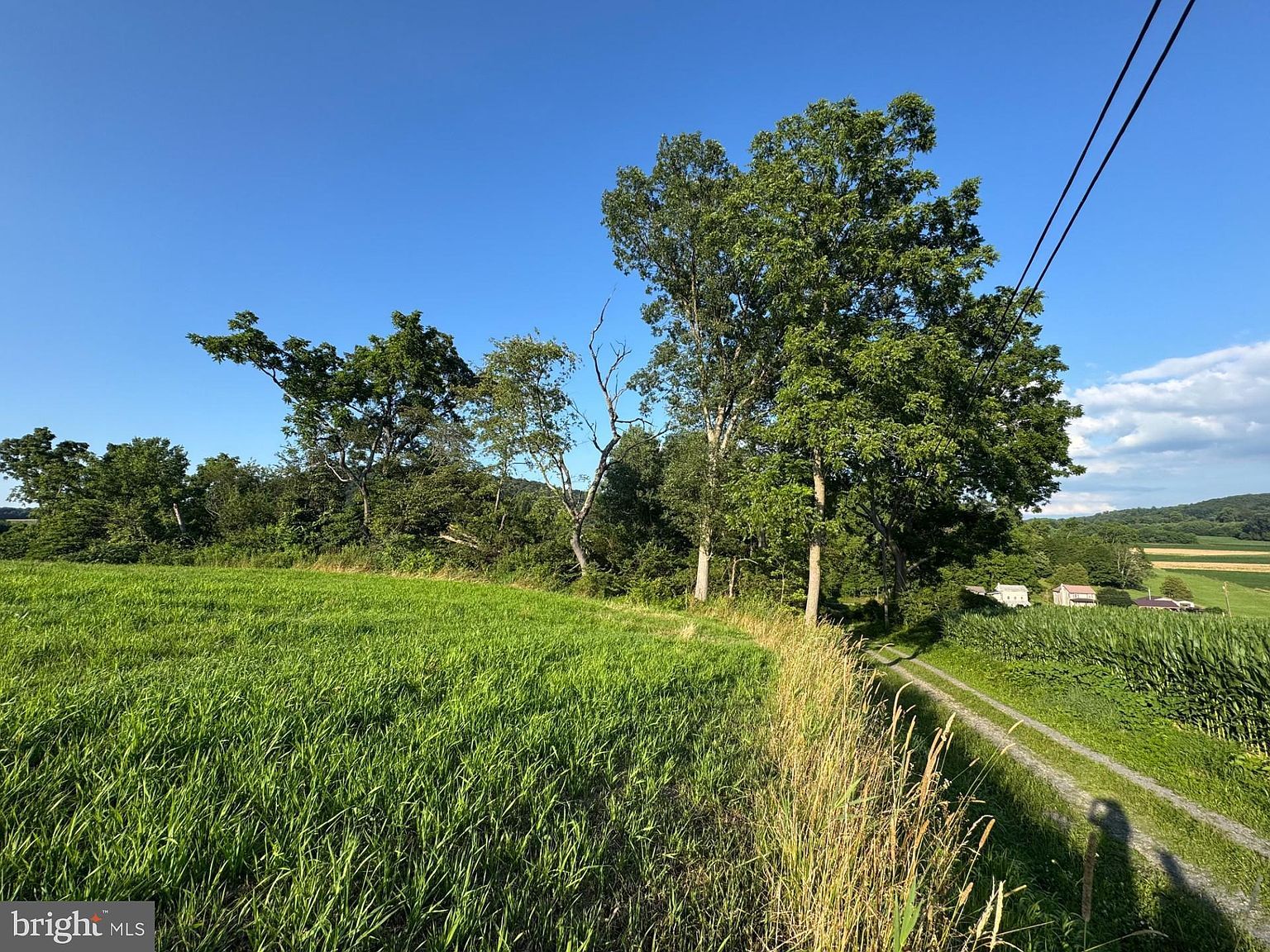 1666 Urban Rd Herndon, PA 17830  | Land/Lot