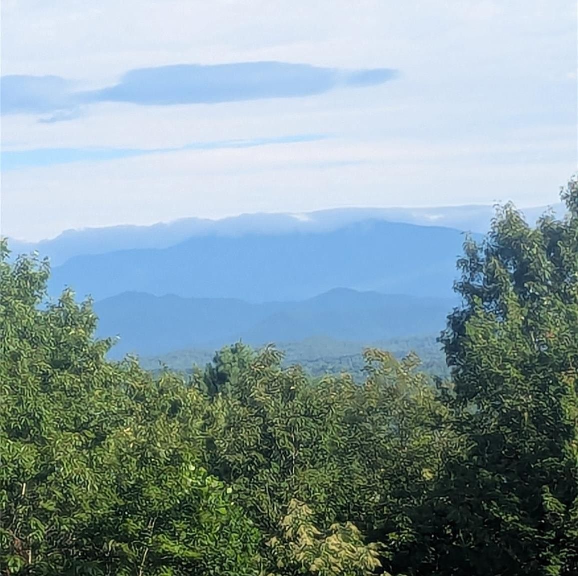 0 Mystery Trail Ln Lenoir, NC 28645  | Land/Lot