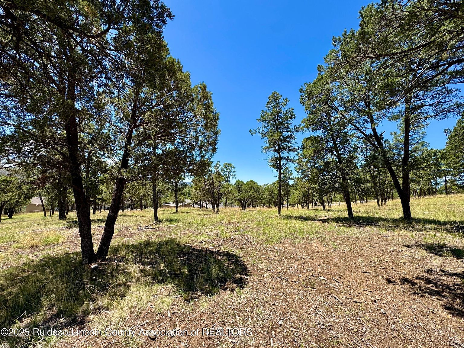 111 Topside Dr Ruidoso, NM 88345 | Land/Lot