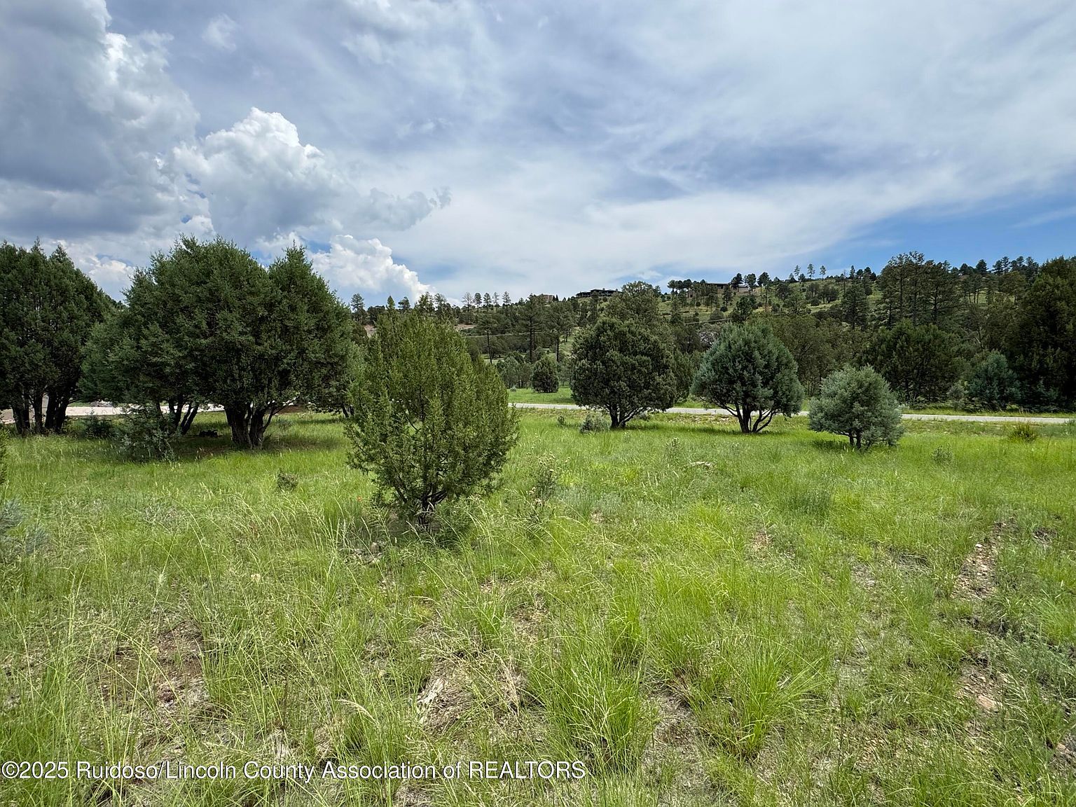 153 Deer Valley Dr Alto, NM 88312 | Land/Lot