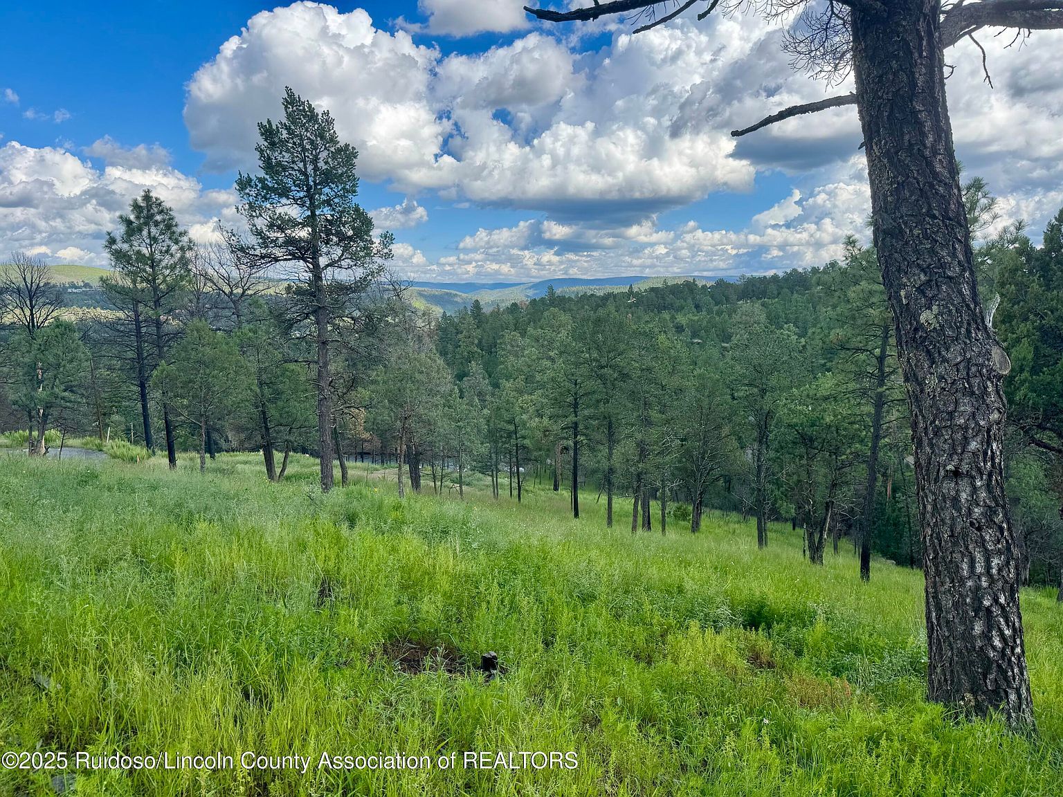 111 Gila Pl Ruidoso, NM 88345 | Land/Lot