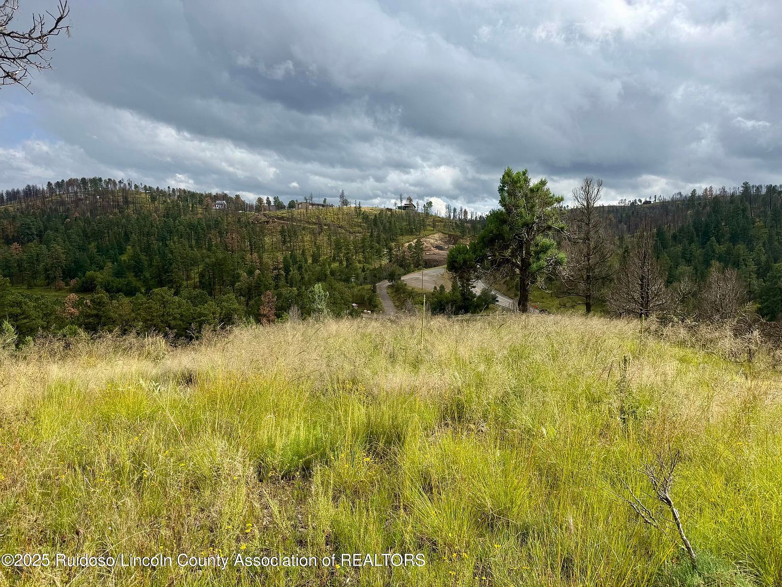 206 Sunset Dr Alto, NM 88312 | Land/Lot