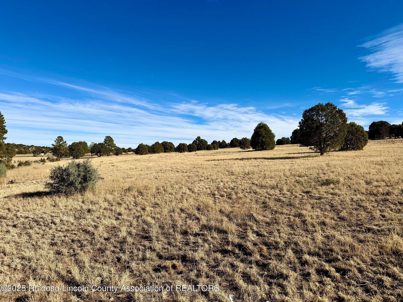118 Rainmaker Dr Alto, NM 88312 | Land/Lot