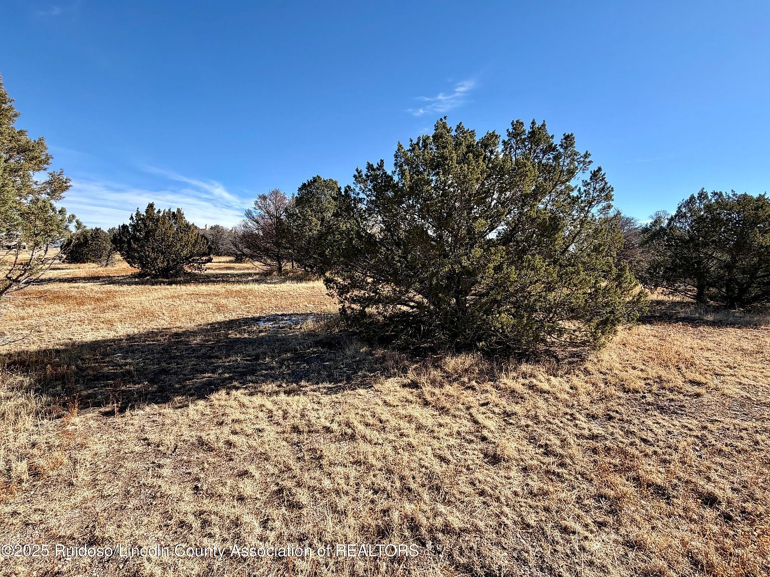 103 Cochiti Ct Alto, NM 88312 | Land/Lot
