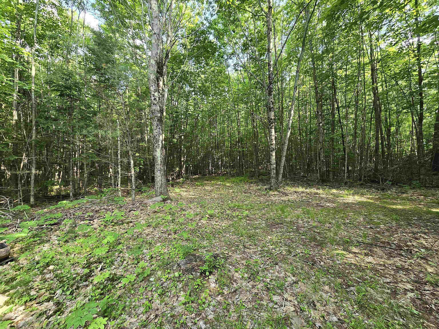 882 Morse Rd Haverhill, NH 03765 | Single Family