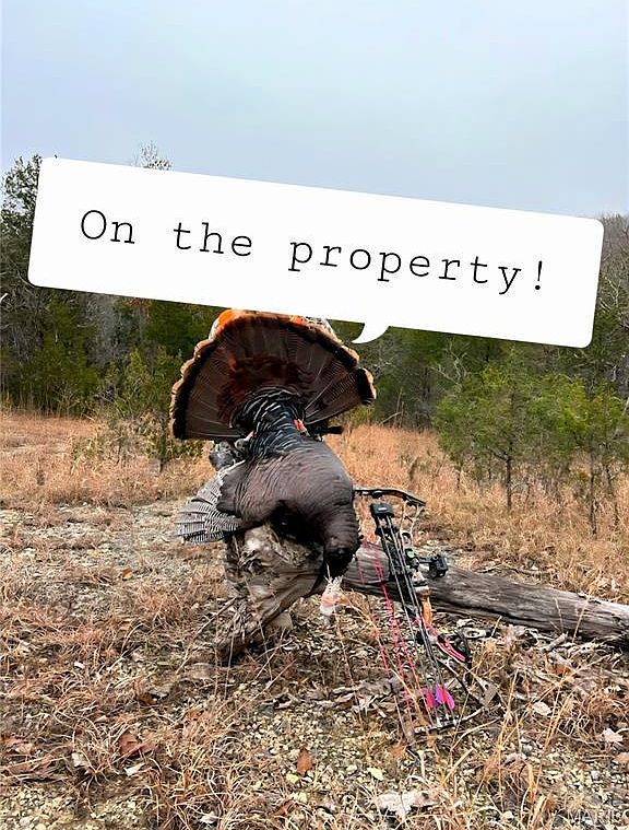 0 Cedar Hollow Rd Fletcher, MO 63030  | Single Family