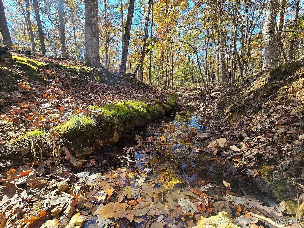 107 Railroad Ln Doe Run, MO 63637  | Land/Lot