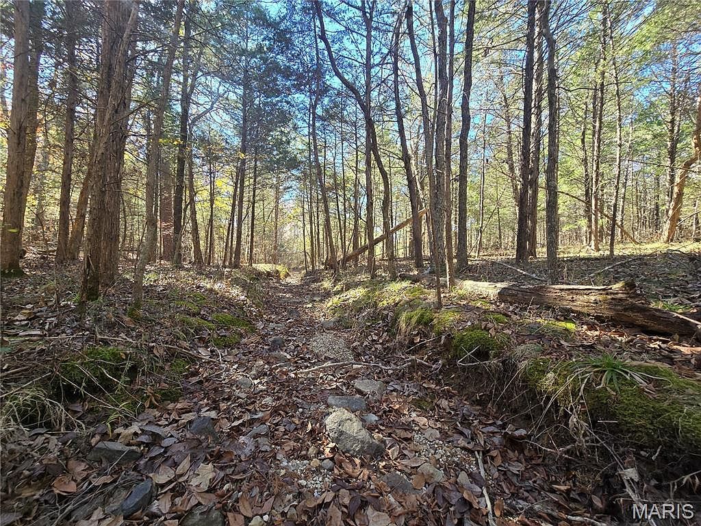 42 Highway 32 Bismarck, MO 63624  | Single Family