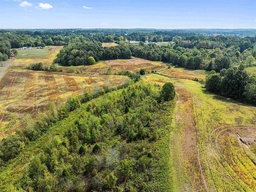 1295 Buford Rd Utica, KY 42376  | Land/Lot