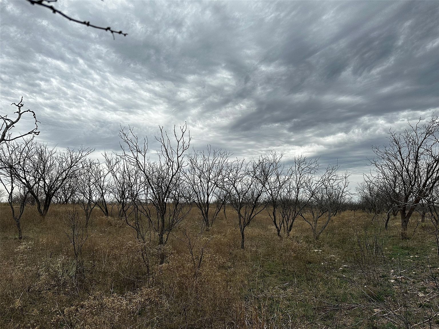 19 County Road 150 Abilene, TX 79601 | Land/Lot