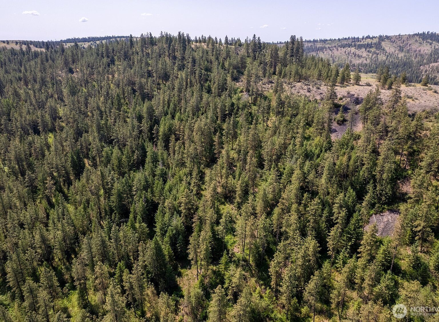 0 Peter Dan Rd Coulee Dam, WA 99116  | Land/Lot