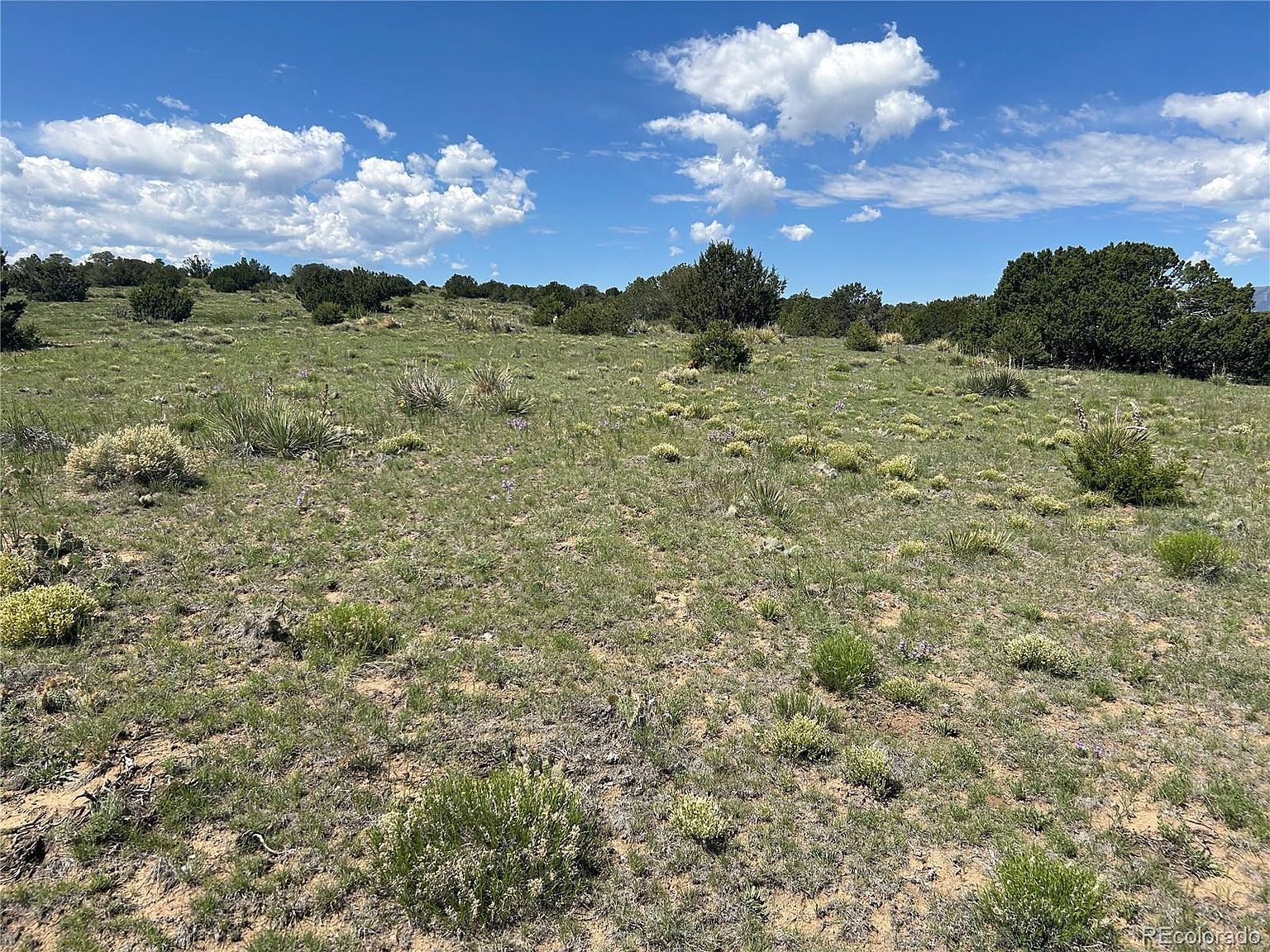 19 Rio Cucharas Pass #1 Walsenburg, CO 81089  | Land/Lot