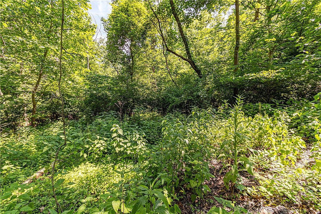 2019 7th Street Rd New Kensington, PA 15068  | Single Family