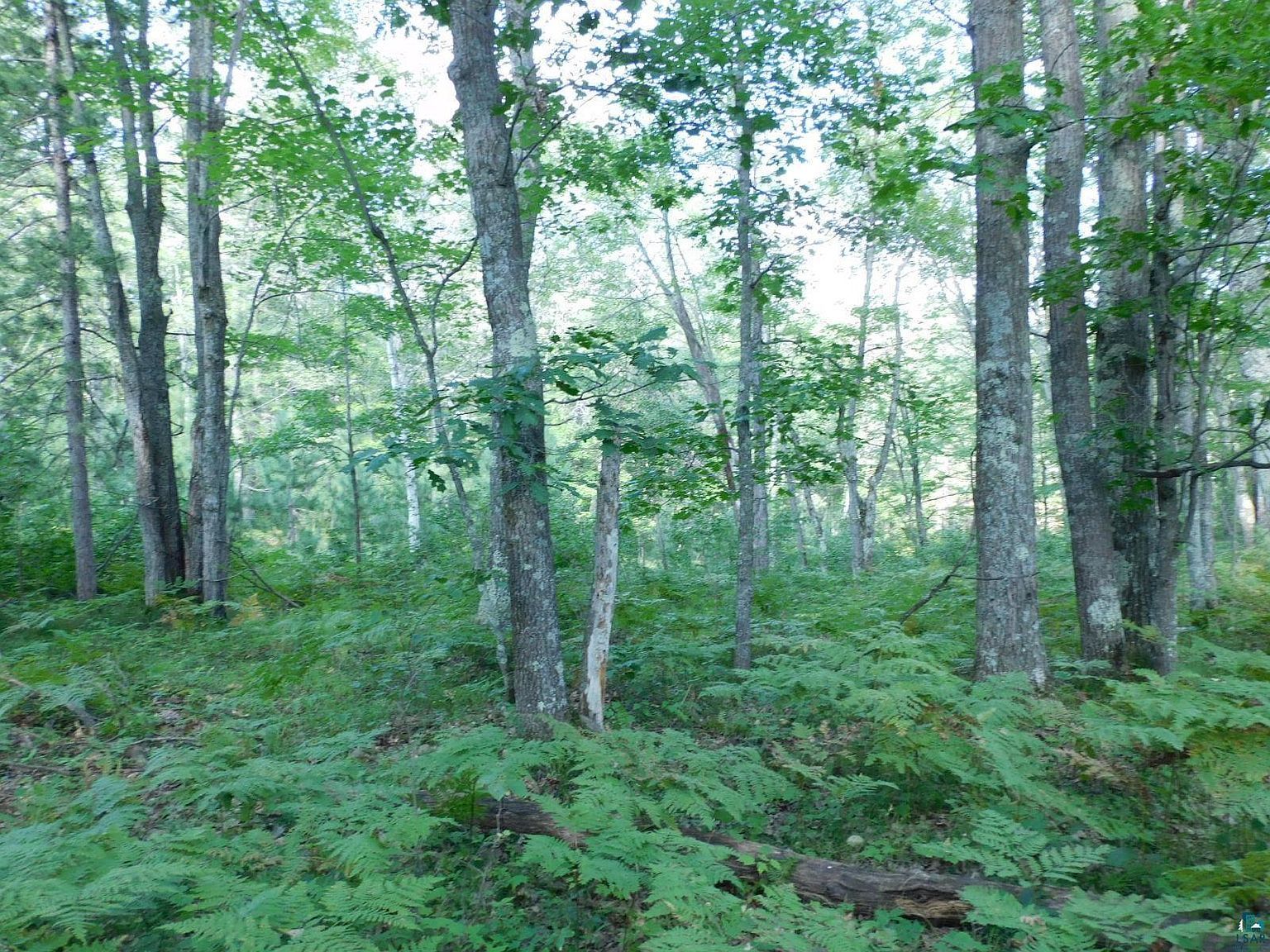 2 Tressel Trl Iron River, WI 54847  | Land/Lot