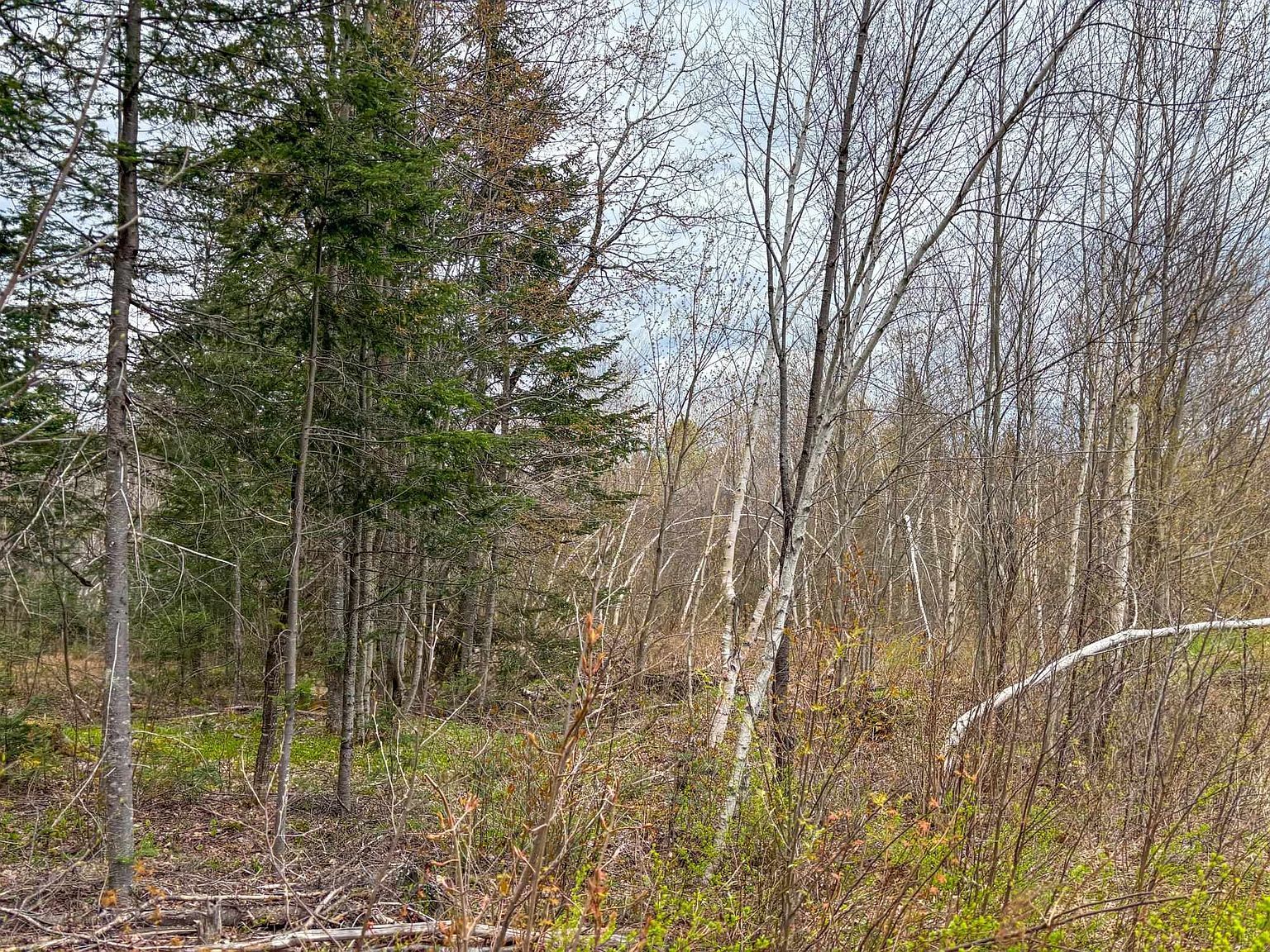 0 Atwood Dr #2 Island Pond, VT 05846 | Land/Lot