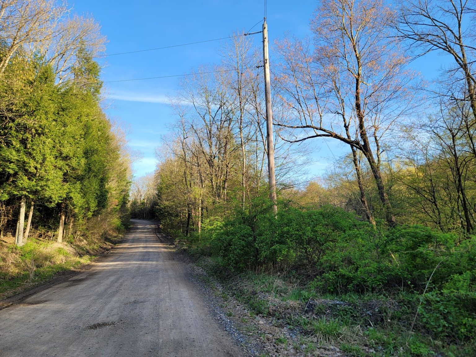 Back Hill Rd Pottersdale, PA 16871 | Land/Lot