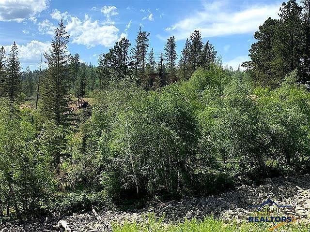 LOT 25 Lot 25 Other Lead, SD 57754  | Land/Lot