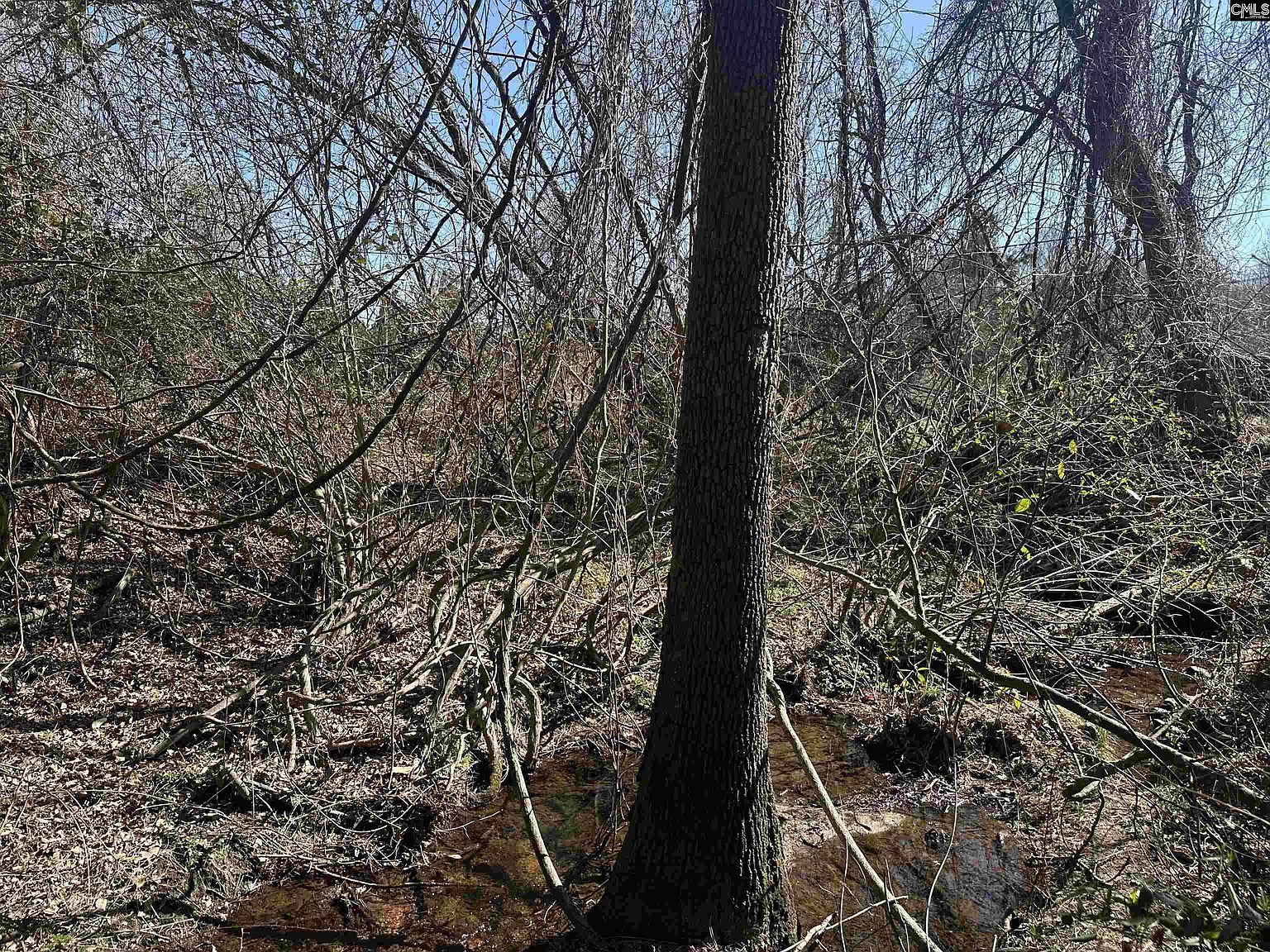 97 Charmont Dr Columbia, SC 29223 | Land/Lot