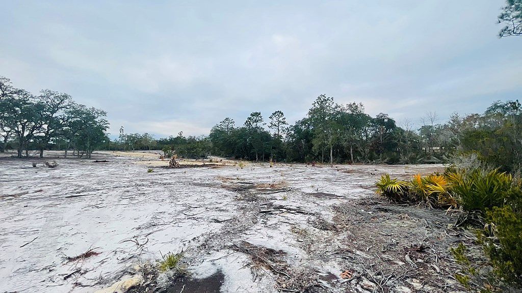 LOT 32 NE 100th Ave Bronson, FL 32621  | Land/Lot