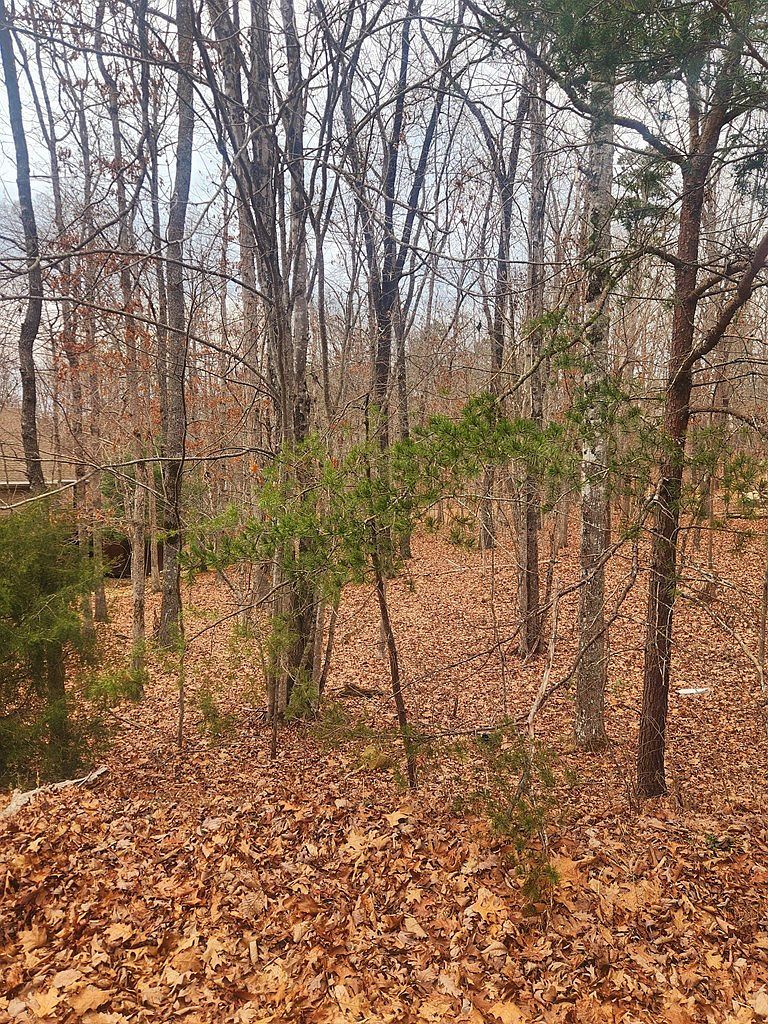 142 Mariners Dr Fairfield Glade, TN 38558 | Land/Lot