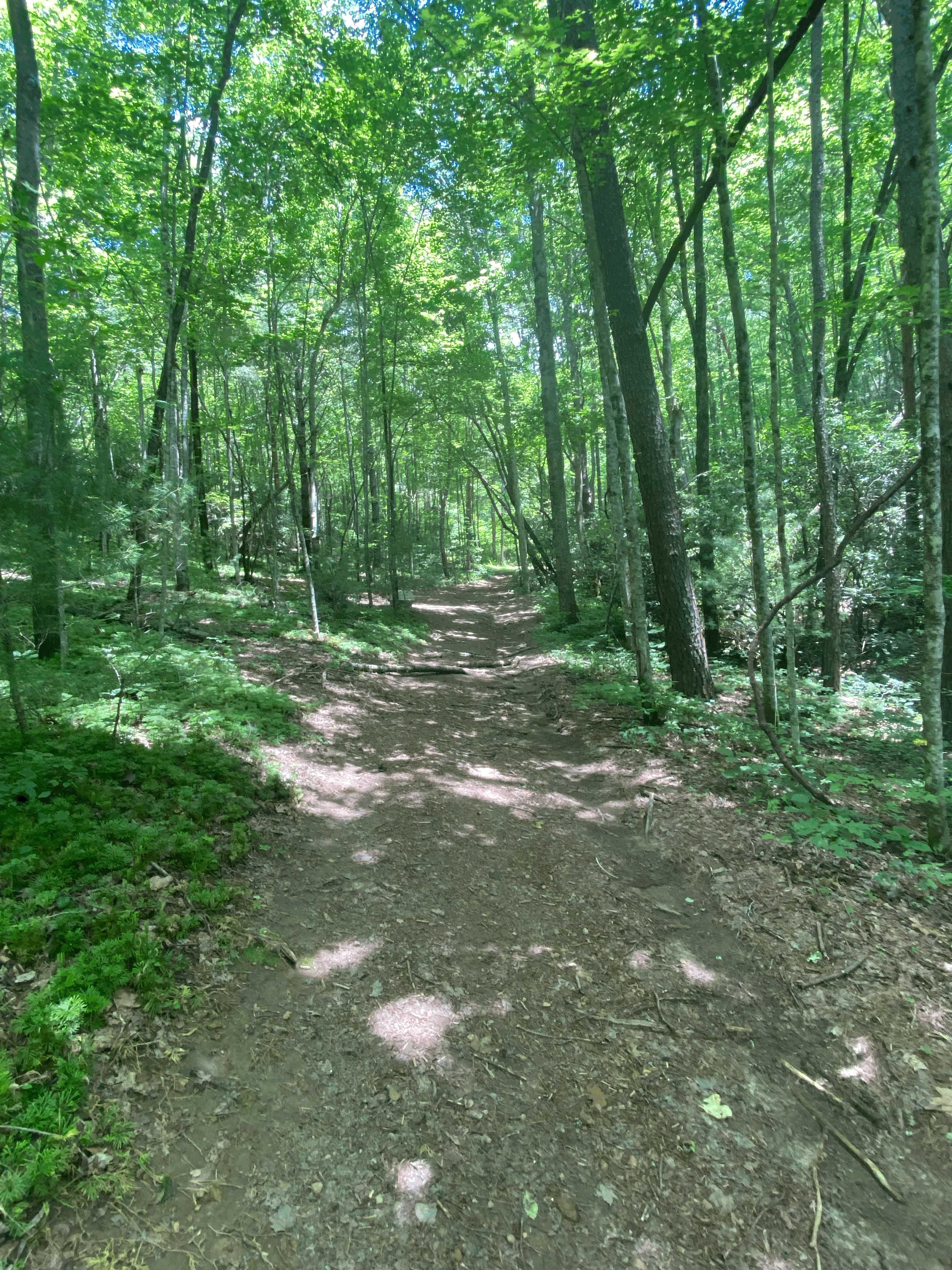 99999 Pounding Mill Road, Hayesville, NC, 28904  | Land/Lot