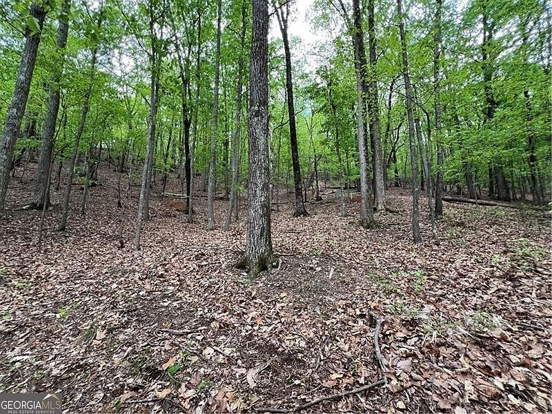 387 Windflower Dr Jasper, GA 30143  | Land/Lot