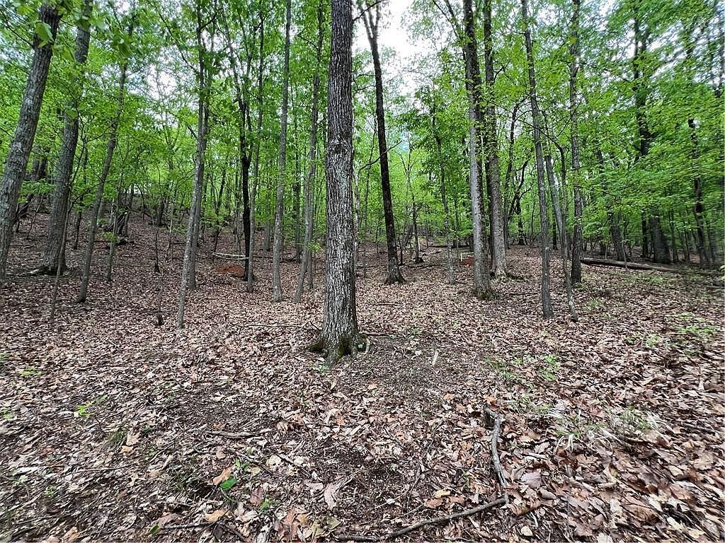 387 Windflower Dr #6232 Jasper, GA 30143 | Land/Lot