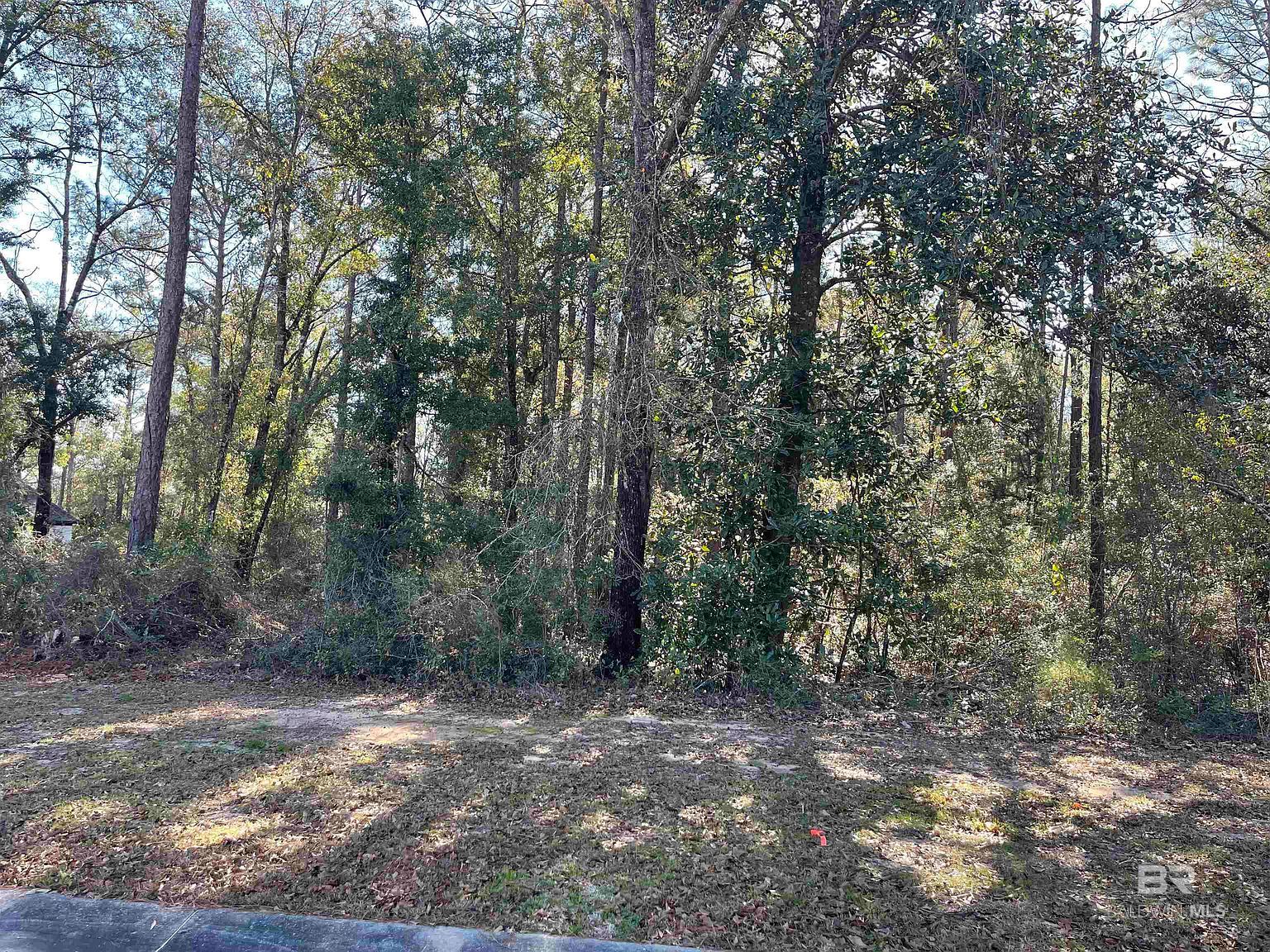 0 Beau Chene Ct Daphne, AL 36526  | Single Family