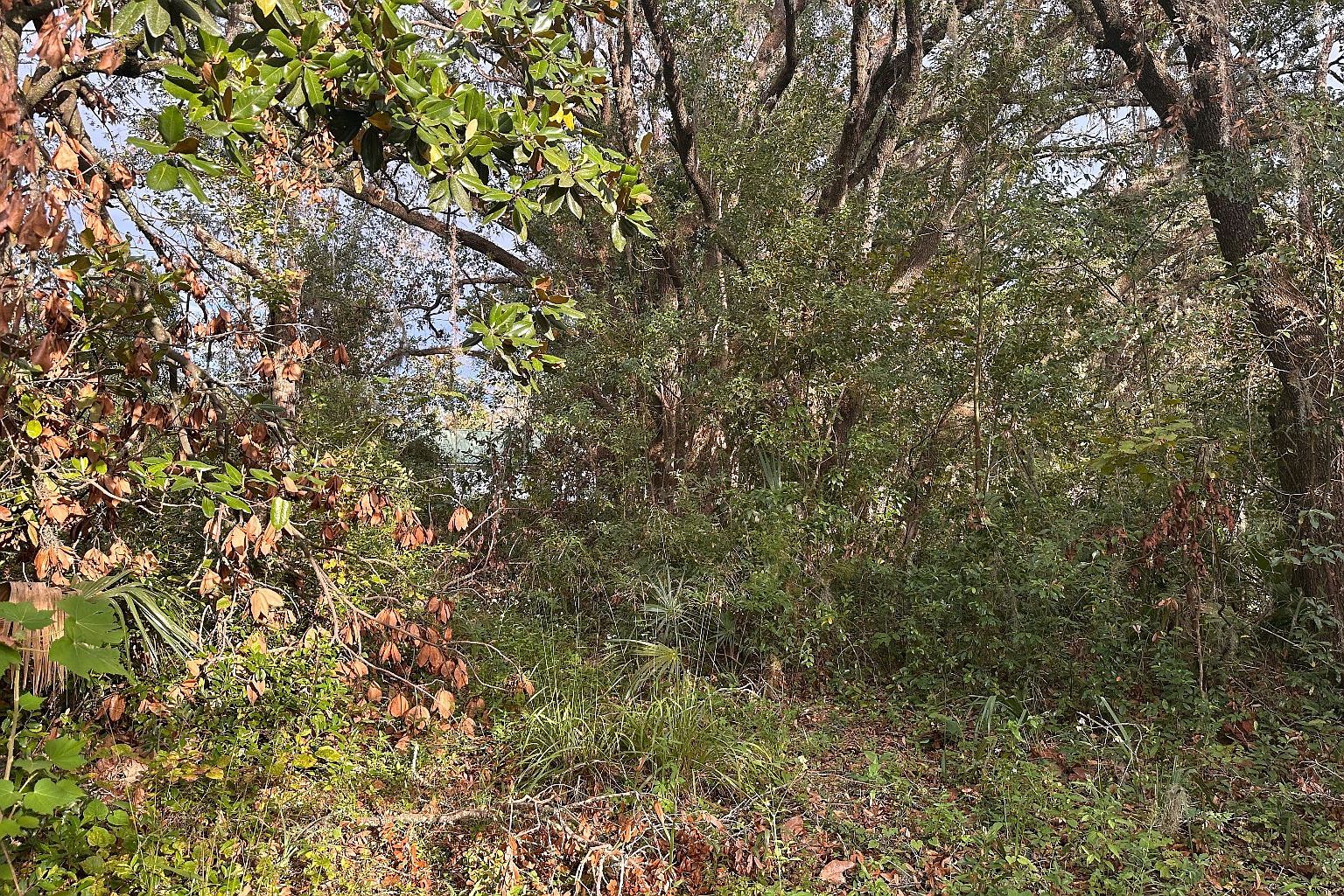 0 Center St S Perry, FL 32347  | Land/Lot