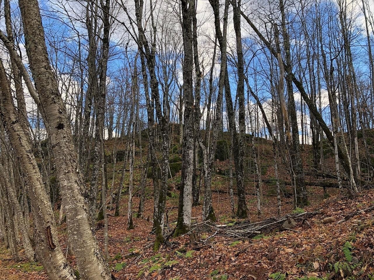 Outlot 3 Skye Dr Upson, WI 54565  | Land/Lot