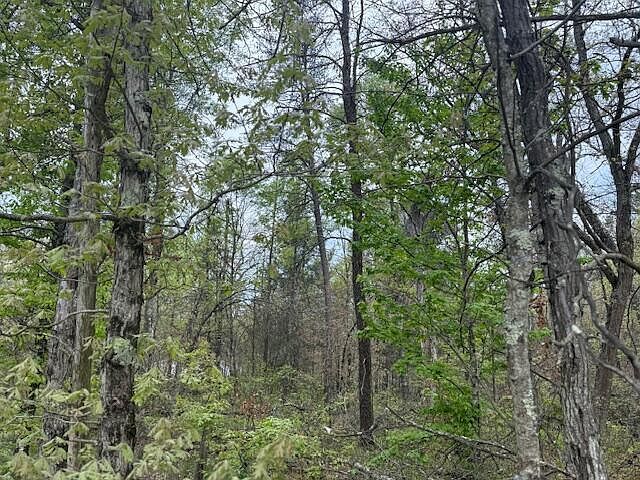 Vl Mount Vernon Ave Idlewild, MI 49642 | Land/Lot