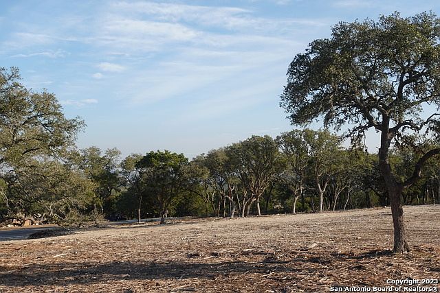276 Kellog #161 Fischer, TX 78623  | Land/Lot