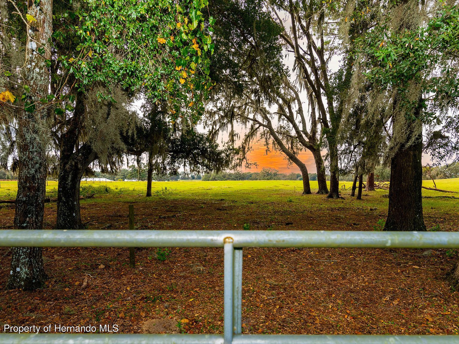 0 County Road 476 Bushnell, FL 33513  | Land/Lot