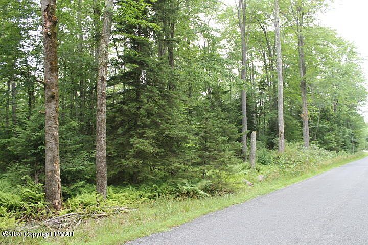 517 E Forest Rd Pocono Lake, PA 18347  | Land/Lot